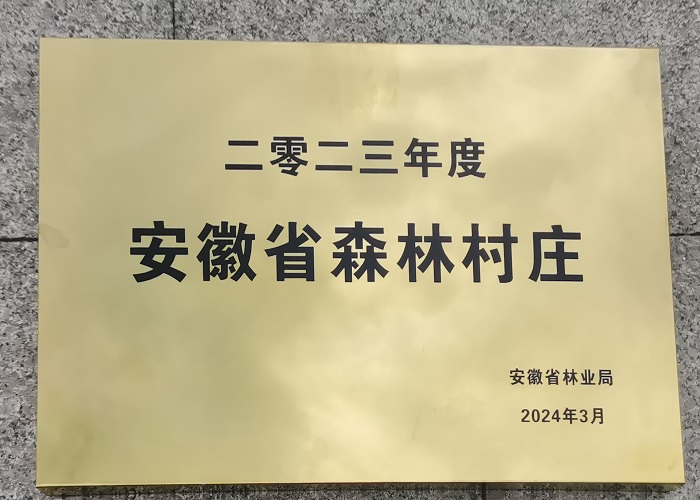 【乡村振兴】张汪村荣获2023年安徽省森林村庄荣誉称号.jpg